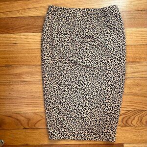 Storq Classic Pencil Skirt
